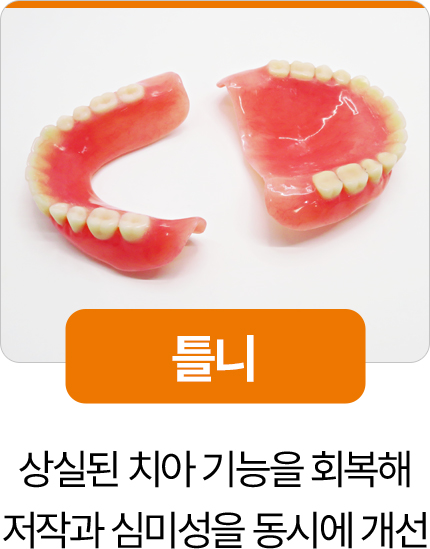 디디치과 틀니 상실 치아 기능 회복