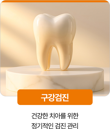 디디치과 구강검진 치아 기능과 구강 건강 관리