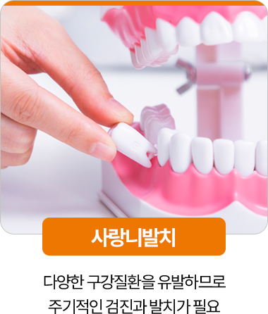 디디치과 사랑니발치 구강질환 예방 검진
